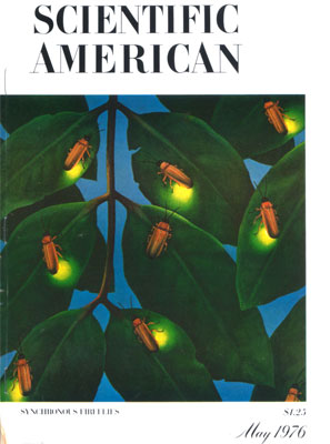 Sci am cover