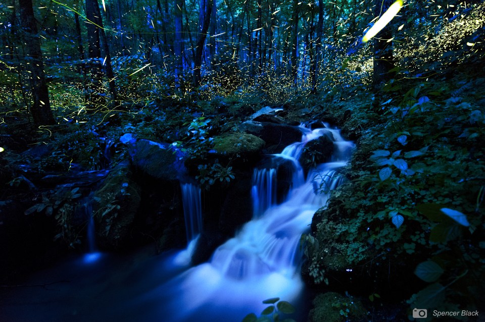 Photo by Spencer Black (blackvisuals.com)