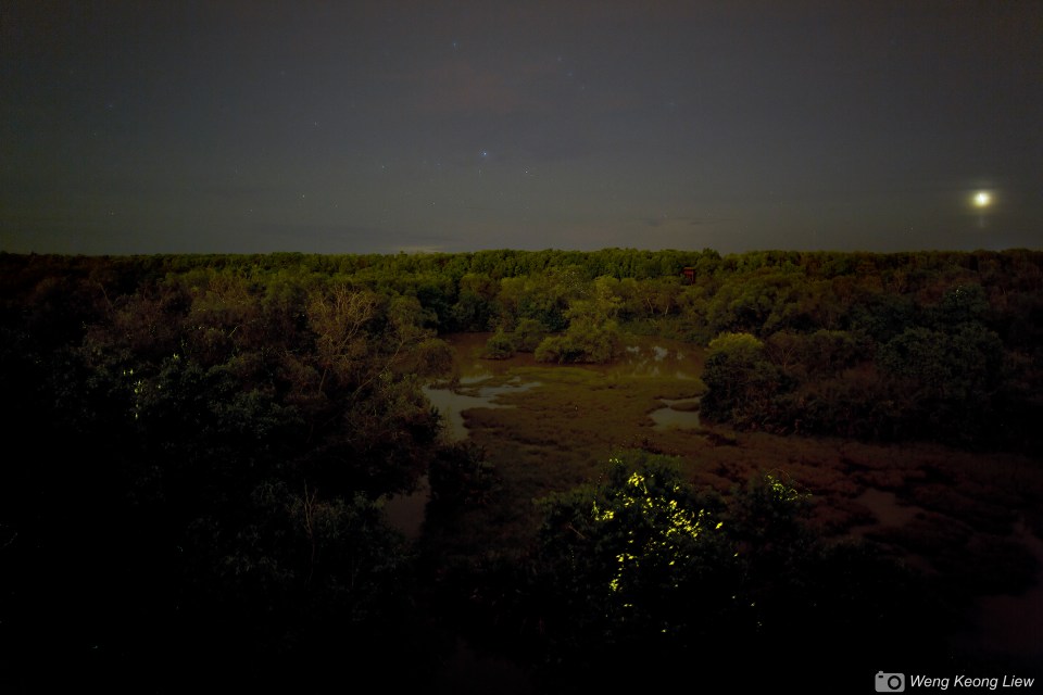 Photo by Weng Keong Liew