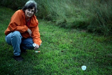 Sara Lewis, for firefly story.