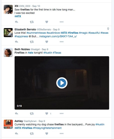 fireflies-texas-sept-tweets