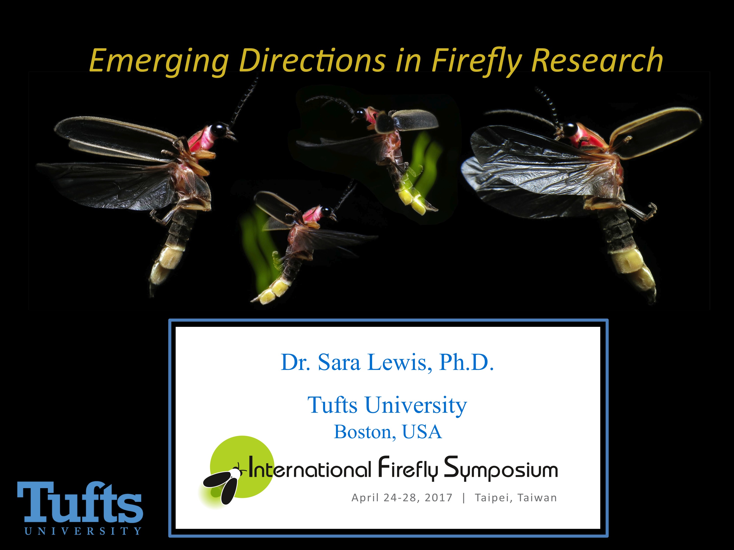 Firefly Talking We’re gathering for firefly science | Silent Sparks