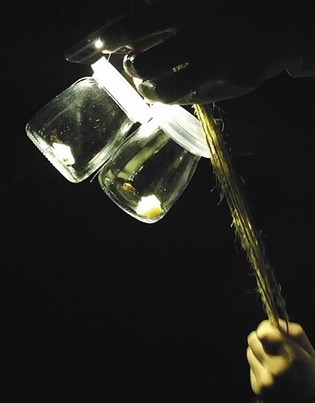 MAG fireflies in jar