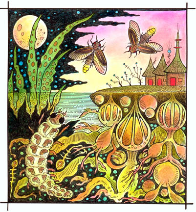 pageofbats life cycle illustration