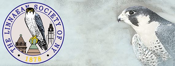 Linnean Soc NY
